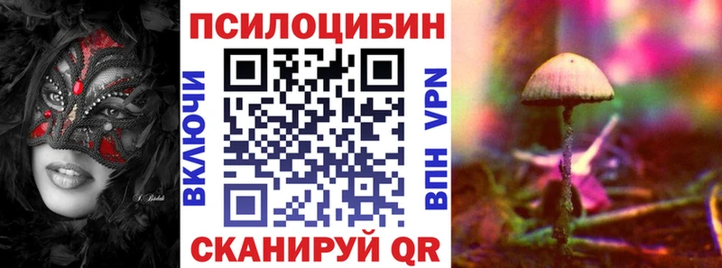 закладка  Тюкалинск  Галлюциногенные грибы мухоморы 